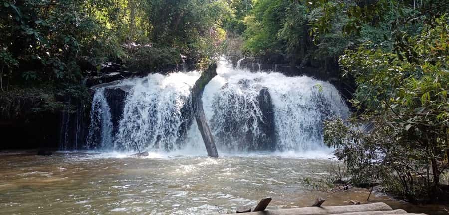 Chiang Mai: 2-Day Jungle Trek with Elephant Farm & Raft Ride - Day 1: Jungle waterfall hike and picnic lunch