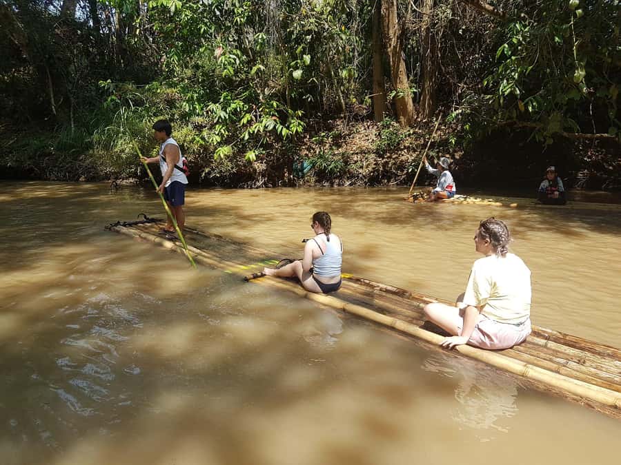 Chiang Mai: 2-Day Jungle Trek with Elephant Farm & Raft Ride - Day 2: Breakfast and continued trekking through the forest