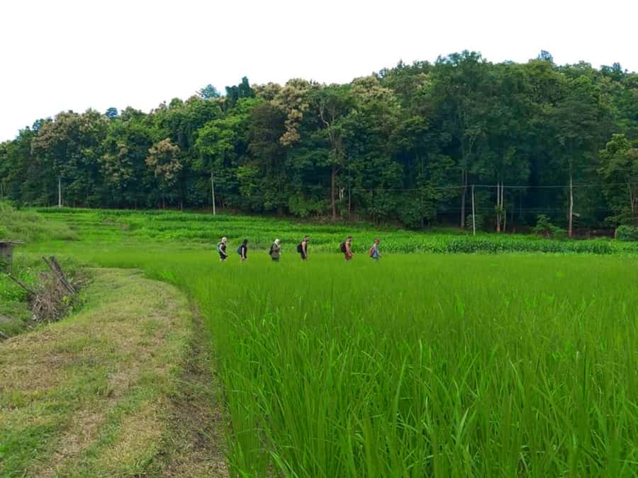 Chiang Mai: 2-Day Jungle Trek with Elephant Farm & Raft Ride - Ethical elephant sanctuary: feeding and bathing rescued elephants