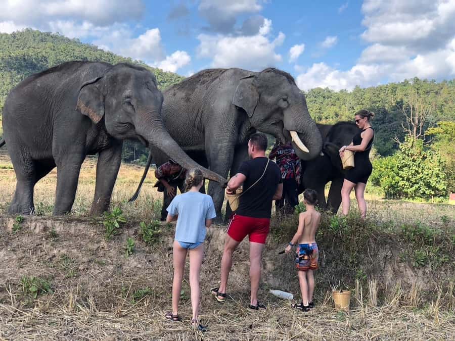 Chiang Mai: 2-Day Tour with Rafting, Elephants, and Waterfall - Key highlights worth your attention
