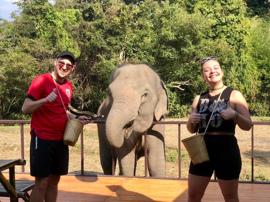 Chiang Mai: 2-Day Tour with Rafting, Elephants, and Waterfall - Jungle trekking with a local Karen guide and waterfall stops
