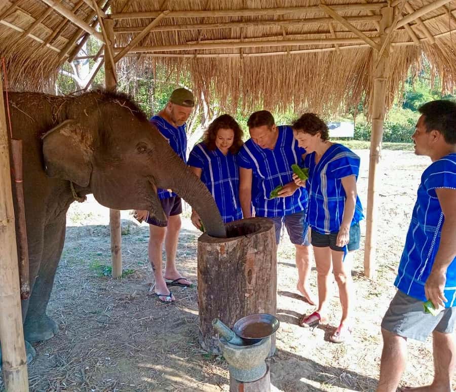 Chiang Mai: 2-Day Tour with Rafting, Elephants, and Waterfall - Where the day ends: dinner and sleep beside a waterfall