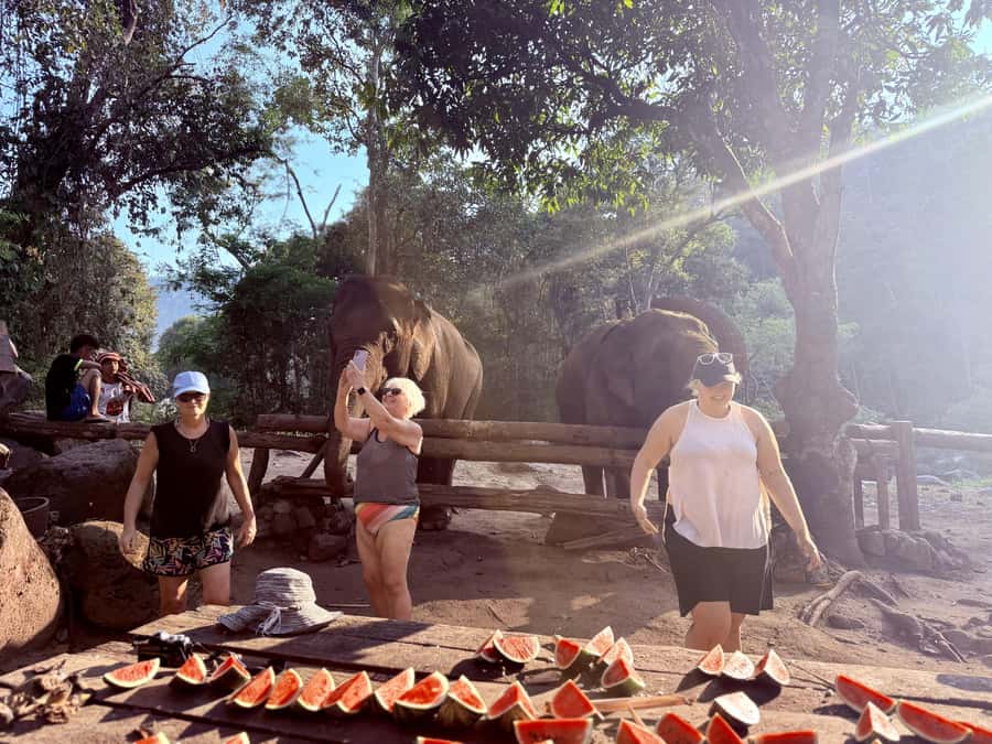 Chiang Mai 2-Day: Trekking, Tubing & Elephant Observation - Saa Gee Falls slide versus elephant observation add-on