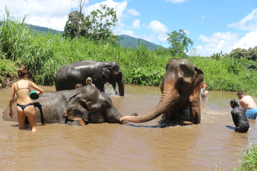 Chiang Mai: 2 Days, 1 Night Non-Tourist Trek - Who This Mr.Whisky Jungle Trek Suits Best