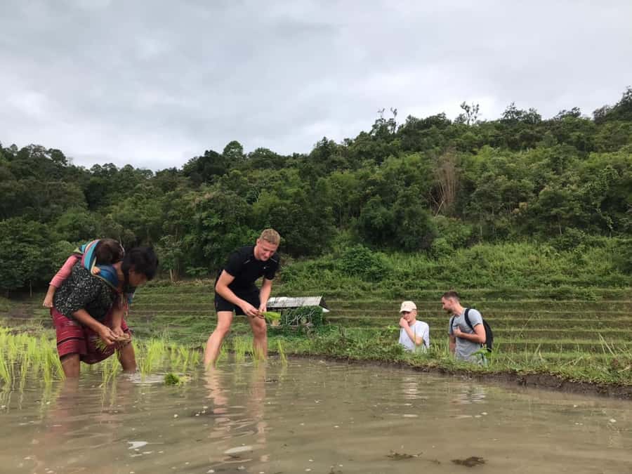 Chiang Mai: 2 Days, 1 Night Non-Tourist Trek - What’s Actually Included (And Why That Adds Value)