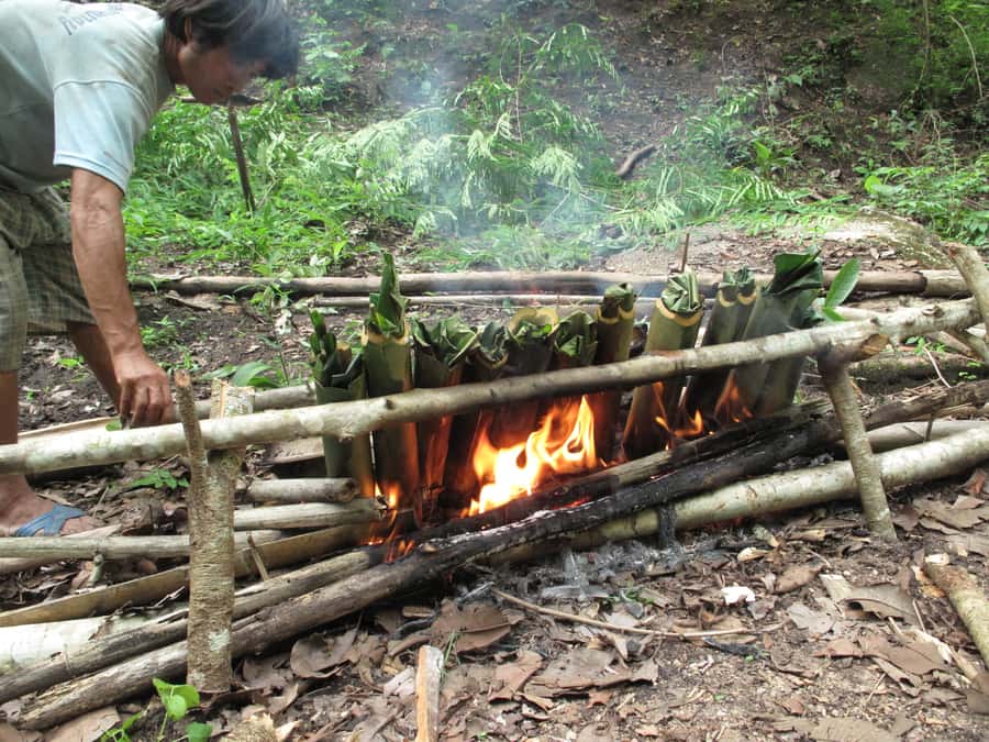 Chiang Mai: 2 Days, 1 Night Non-Tourist Trek - Day 1: Elephant Care, Jungle Learning, and Cooking Lunch You Actually Make
