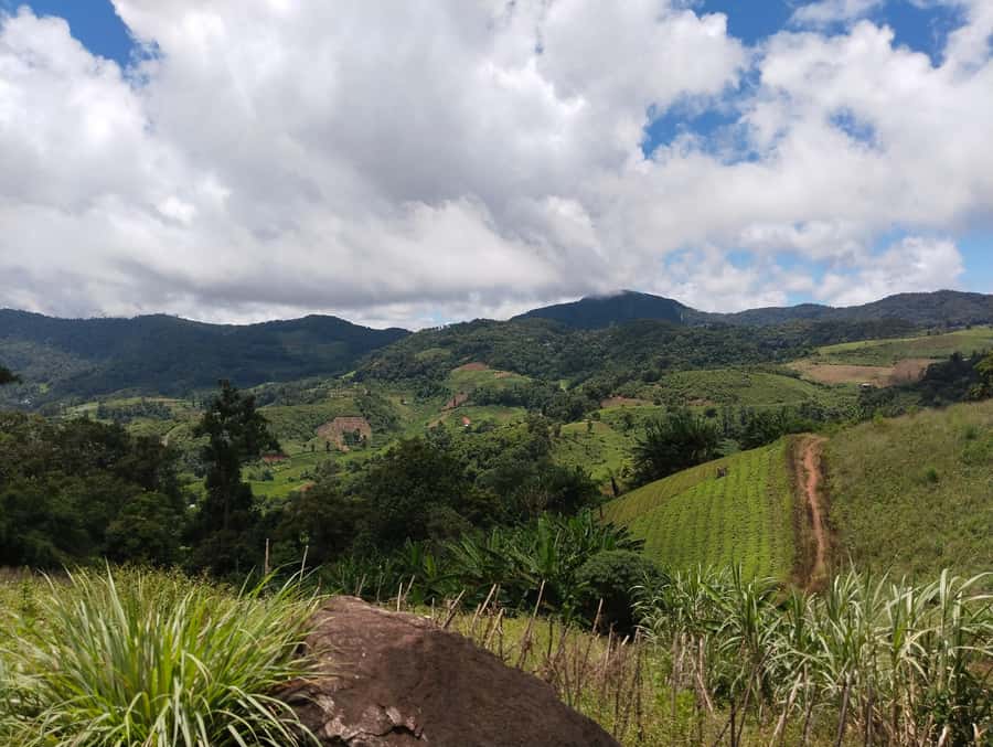 Chiang Mai: 2-Days Chiang Mai Amazing Trek - The countryside market and lunch breaks that keep the day realistic
