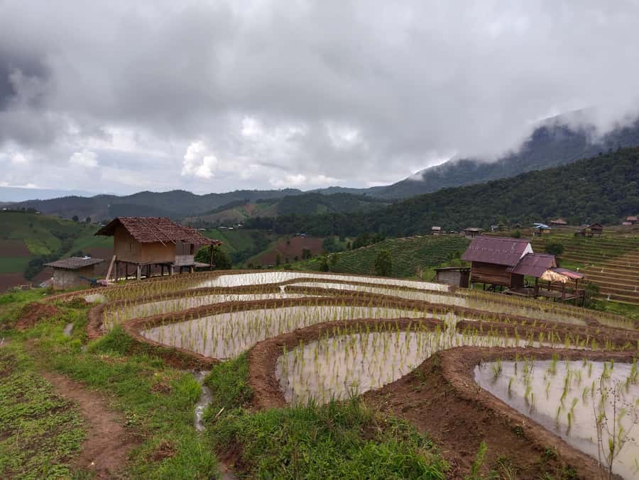 Chiang Mai: 2-Days Chiang Mai Amazing Trek - Price and value: why $108 can make sense for a packed 2 days