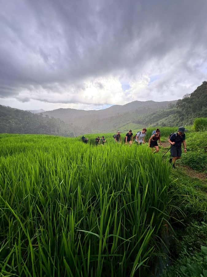 Chiang Mai: 2-Days Jungle Trek, Waterfalls and Karen Village - Who This Trek Is Best For (and Who Should Skip It)