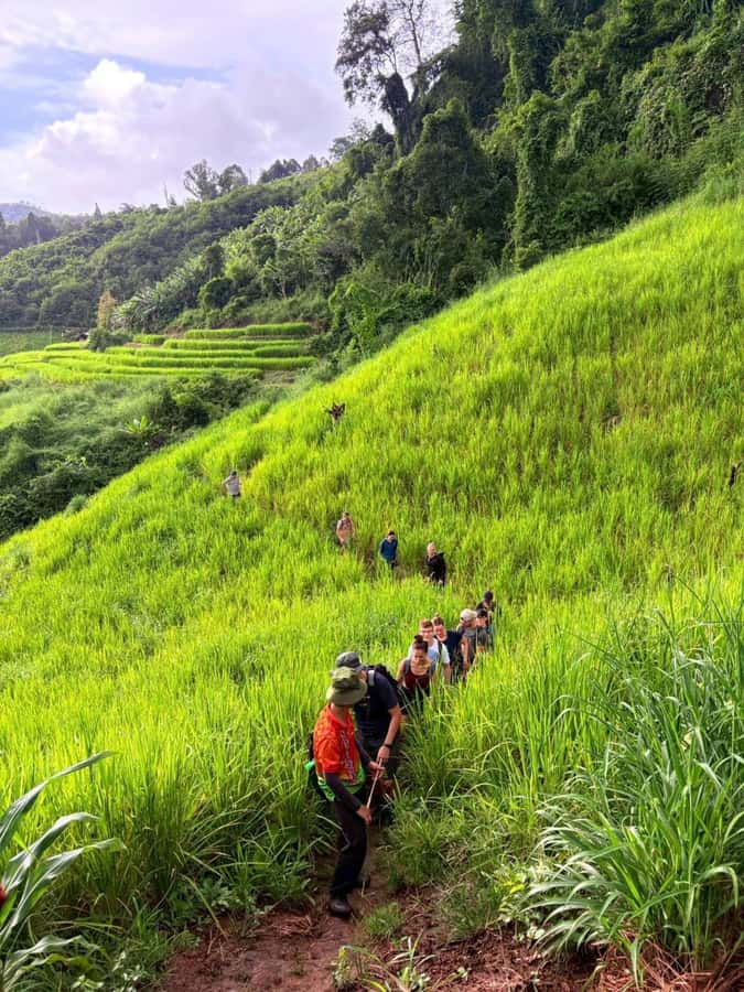 Chiang Mai: 2-Days Jungle Trek, Waterfalls and Karen Village - Should You Book This Chiang Mai 2-Day Trek?