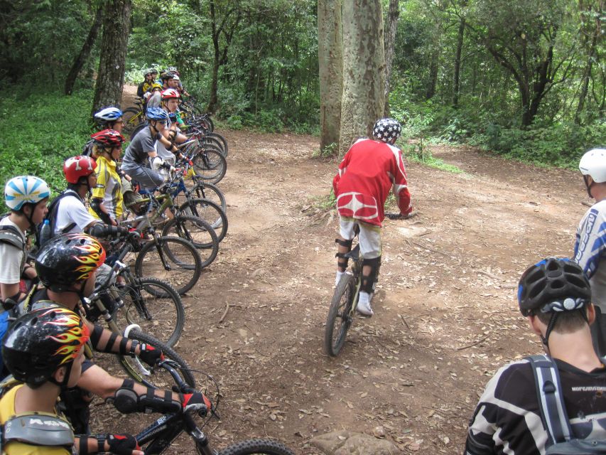 Chiang Mai: 20km Downhill Mountain Biking Challenge Suthep M - Should You Book the Doi Suthep to Lake Huay Tueng Thao Adventure?