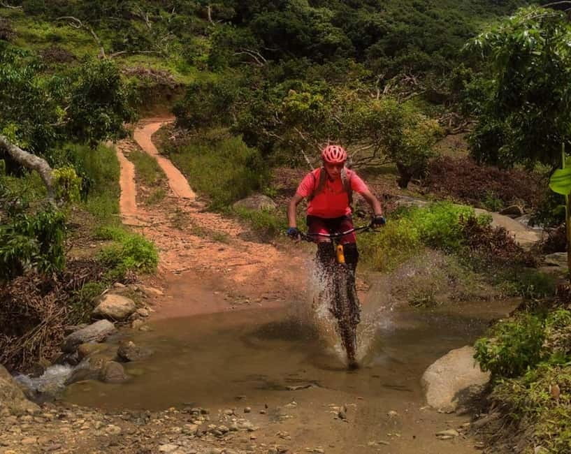 Chiang Mai: 20km Downhill Mountain Biking Challenge Suthep M - The Downhill Feels Big: 20km and a 1500m Advantage