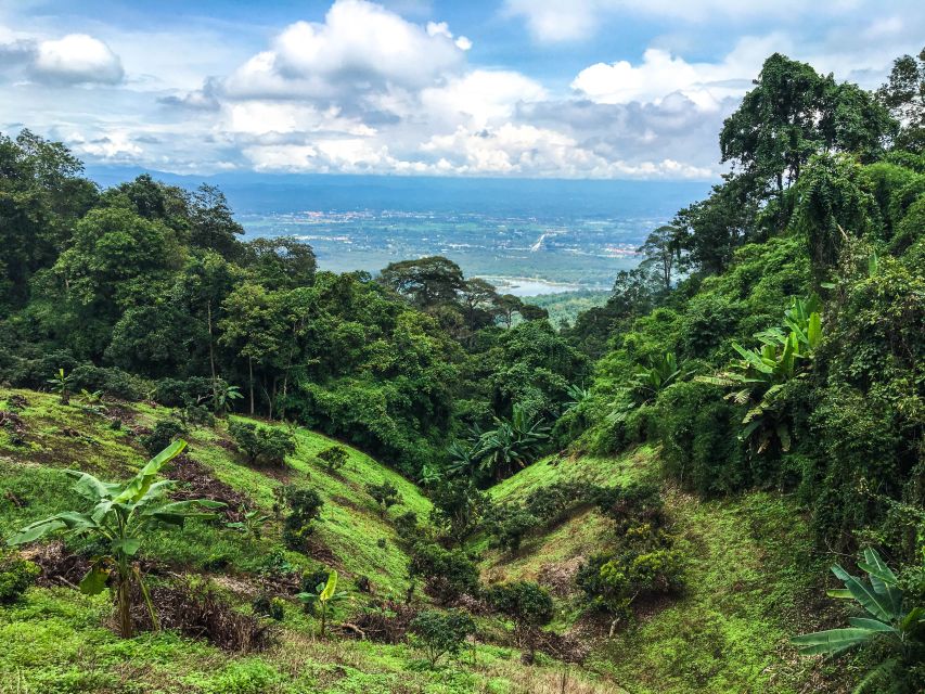 Chiang Mai: 20km Downhill Mountain Biking Challenge Suthep M - San Ku, Wat Ban Khun Chang Khian, and Village-Track Riding