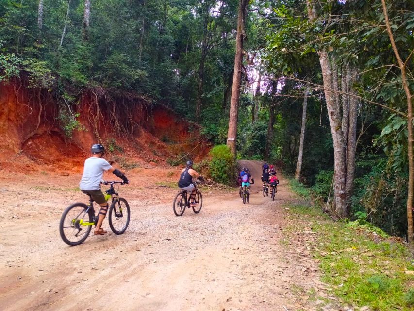 Chiang Mai: 20km Downhill Mountain Biking Challenge Suthep M - Price and Hidden Costs: Does $60 Deliver Value?