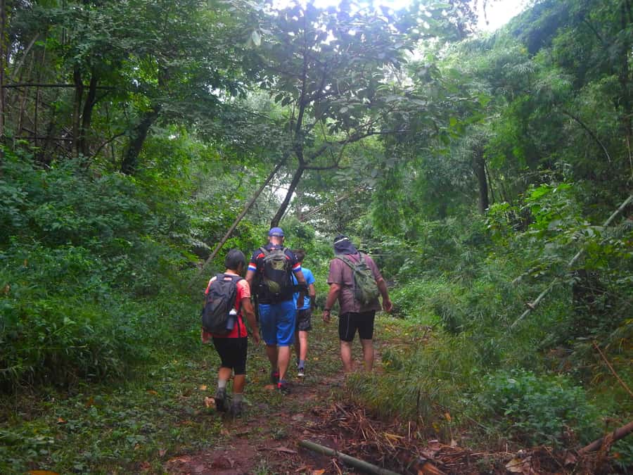 Chiang Mai: 21 km DH,XC Mountain Biking from Takkatan Caves. - Price and Value: Why $65 Can Be a Good Deal (If You Match the Style)