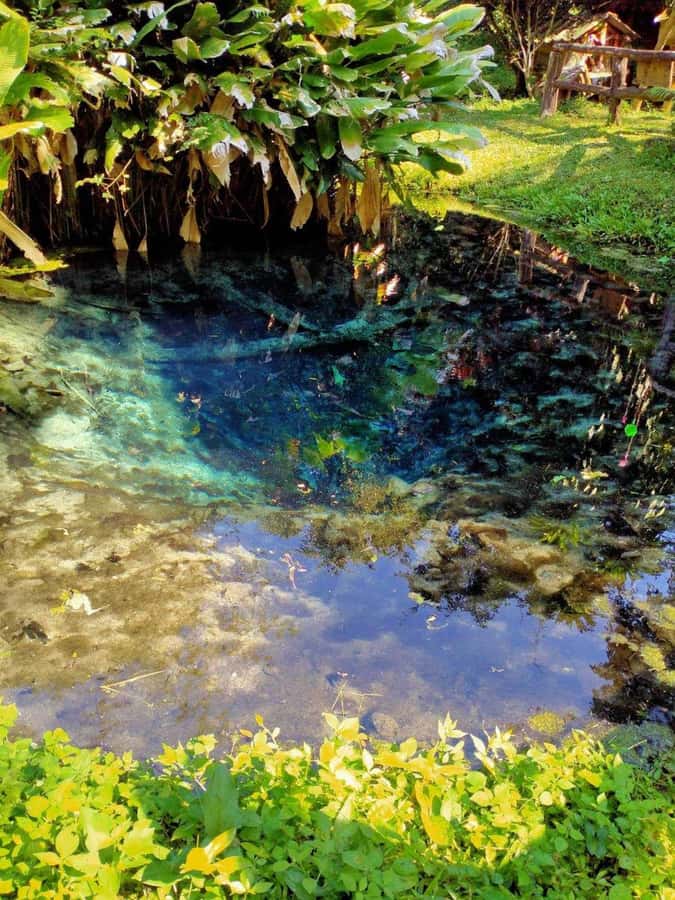 Chiang Mai: 22 km XC Mountain Biking from Sticky Waterfall - The 22 km Cross-Country Ride to Mae Kuang Lake: Terrain and Pacing