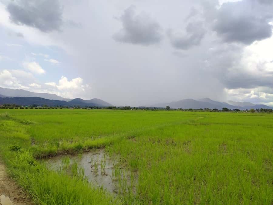 Chiang Mai: 25km Leisure Mountain Biking & Jungle Kayaking - Guides, groups, and the small things that make it feel safe