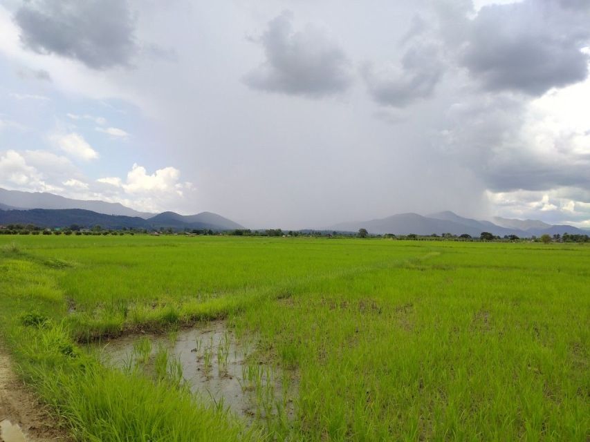 Chiang Mai: 25km Leisure Mountain Biking & Jungle Kayaking - Wat Thepnimit Nantharam and the market break: snacks that actually count