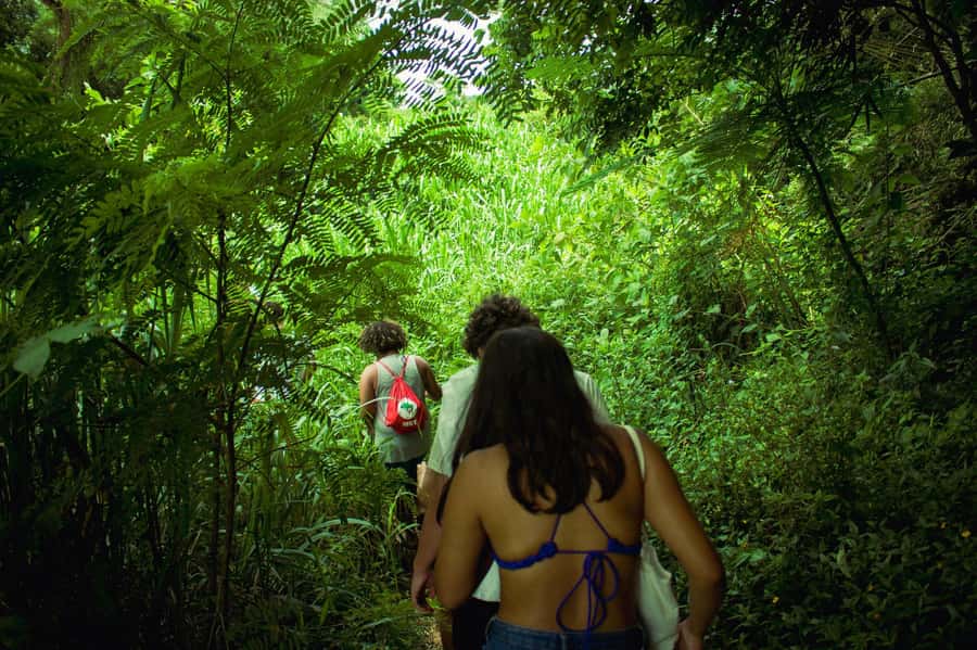 Chiang Mai: 3-Day Karen Hill Tribe Immersion with Trekking - Key things to know before you go