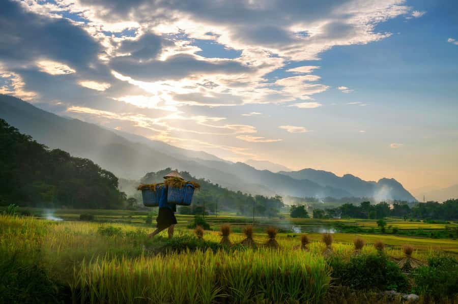 Chiang Mai: 3-Day Karen Hill Tribe Immersion with Trekking - Why this Doi Inthanon Karen trek feels different