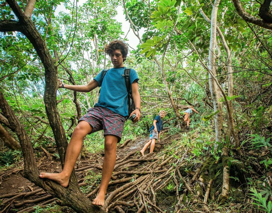 Chiang Mai: 3-Day Karen Hill Tribe Immersion with Trekking - Day 1: Forest paths, banana-leaf lunch, and a firelight camp