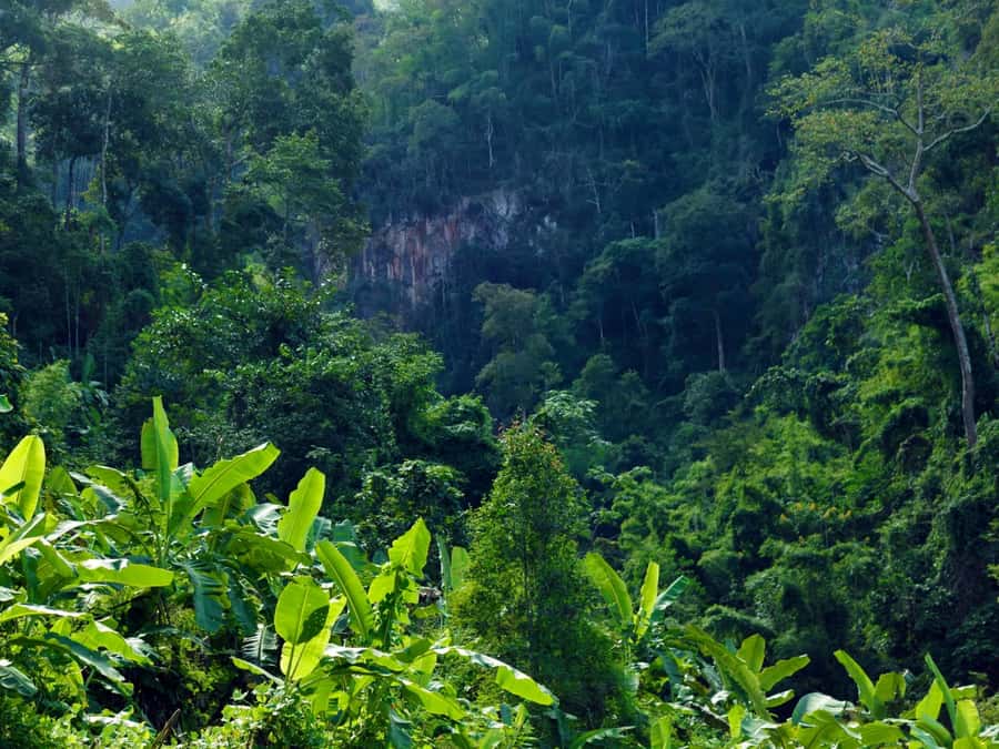 Chiang Mai: 3-Day Karen Hill Tribe Immersion with Trekking - Camps, showers, and the off-grid reality