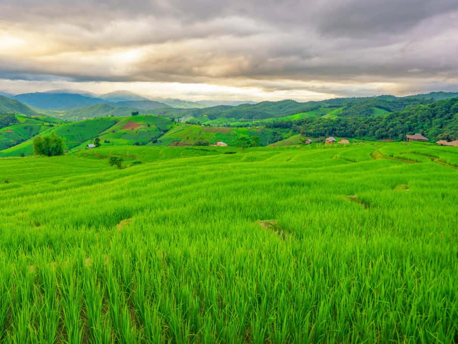 Chiang Mai: 3-Day Karen Hill Tribe Immersion with Trekking - Fitness: how hard is it really?