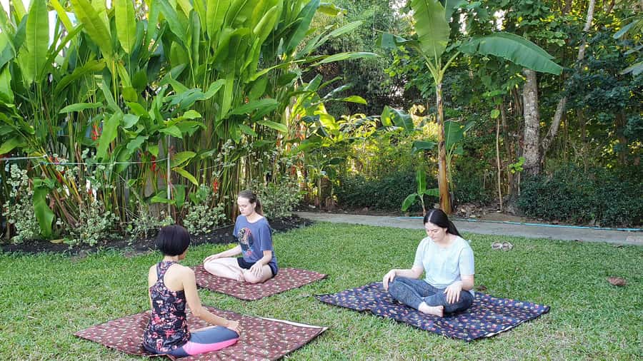 Chiang Mai: 3 Day Meditation, Yoga & Cultural Retreat - Thai Food That Keeps You Grounded (and Actually Tastes Like Thailand)