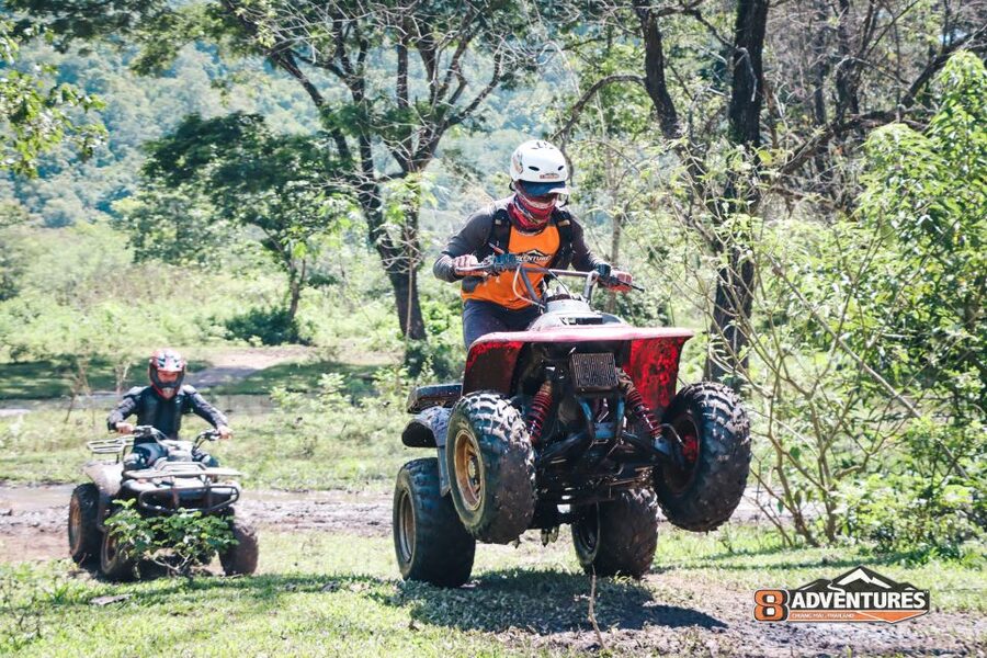 Chiang Mai: 3-Hour ATV Quad Biking Jungle Adventure - Lunch in Mae Taeng: vegetarian option, practical timing, and why the meal feels good