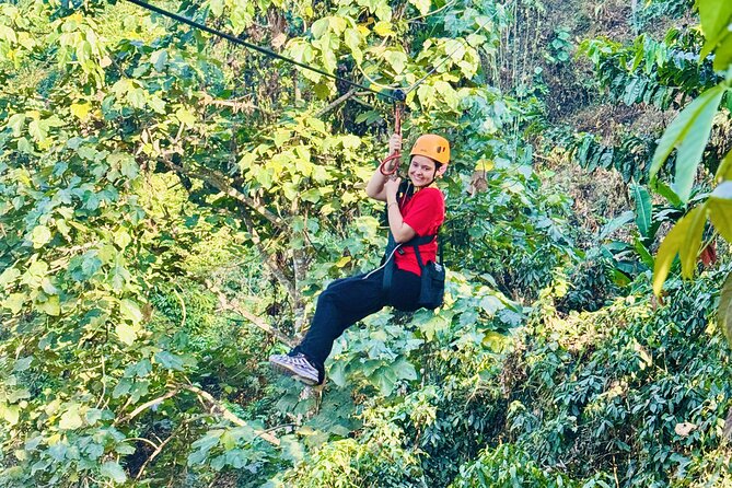 Chiang Mai 3 in 1 Zipline, Elephants and Sticky Waterfall - Jungle ziplining: treetop views and coaching you can actually feel