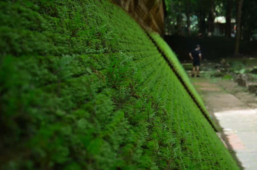 Chiang Mai: 4-hour Doi Suthep, Wat Umong, & Wat Phalat Tour - Key highlights at a glance