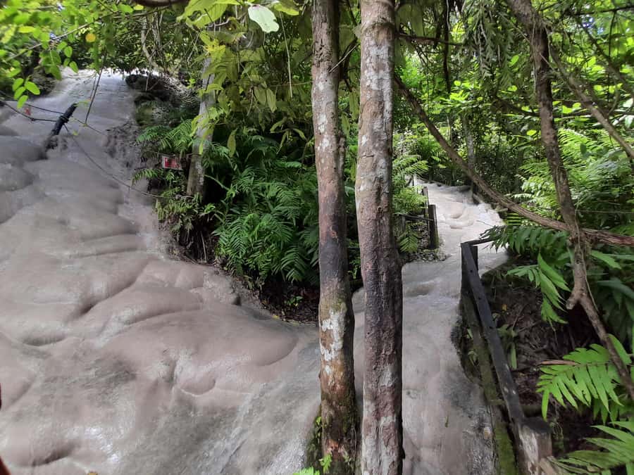 Chiang Mai: 4-Hour Sticky Waterfall Private Tour - Private transportation value: when $118 feels fair