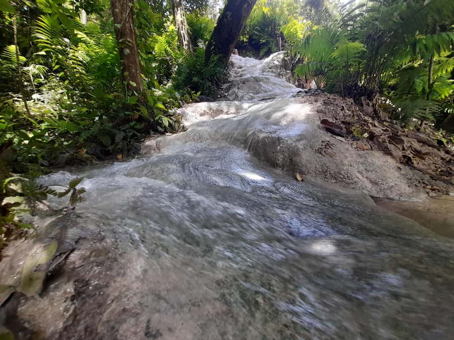 Chiang Mai: 4-Hour Sticky Waterfall Private Tour - Who this tour is best for (and who should skip it)