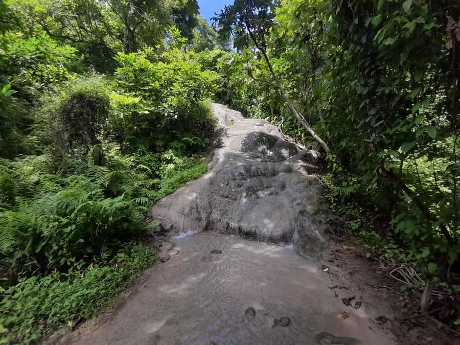 Chiang Mai: 4-Hour Sticky Waterfall Private Tour - Should you book this Chiang Mai Sticky Waterfall Private Tour?