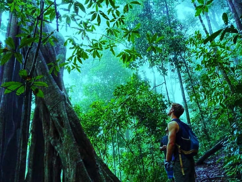 Chiang Mai: 7-Hour Doi Suthep National Park Summit Hiking - What to wear and bring: the “don’t ruin your day” checklist