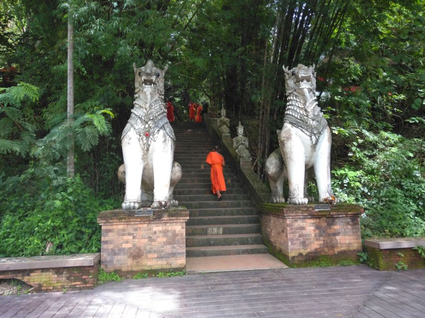 Chiang Mai: 7-Hour Doi Suthep National Park Summit Hiking - Why Doi Suthep feels wilder than the road suggests