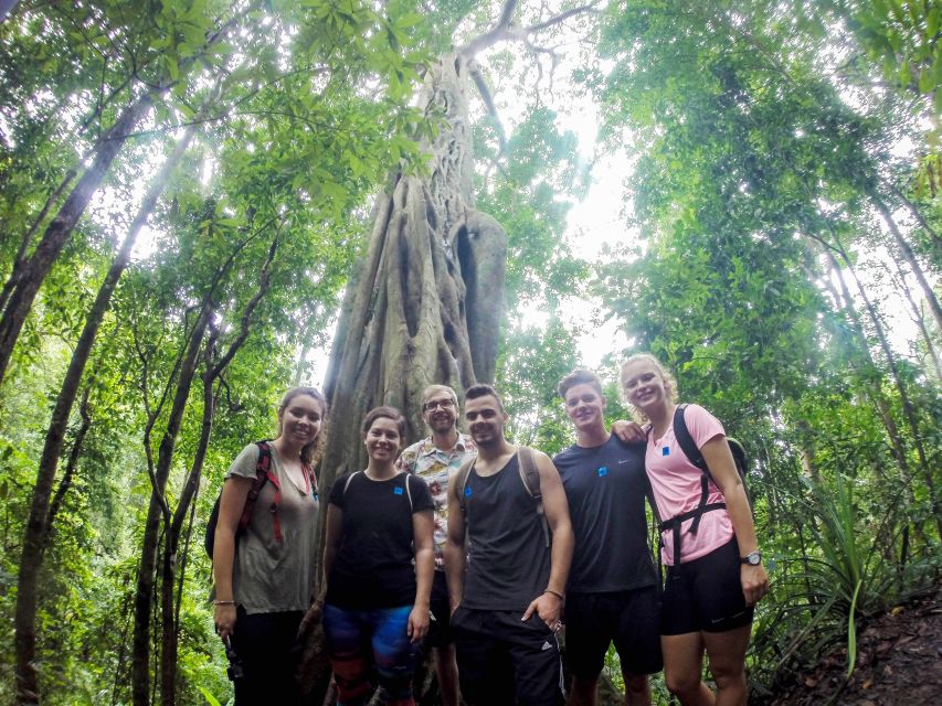 Chiang Mai: 7-Hour Doi Suthep National Park Summit Hiking - Wat Pha Lat and Wat Suthep: temple stops that reset your pace