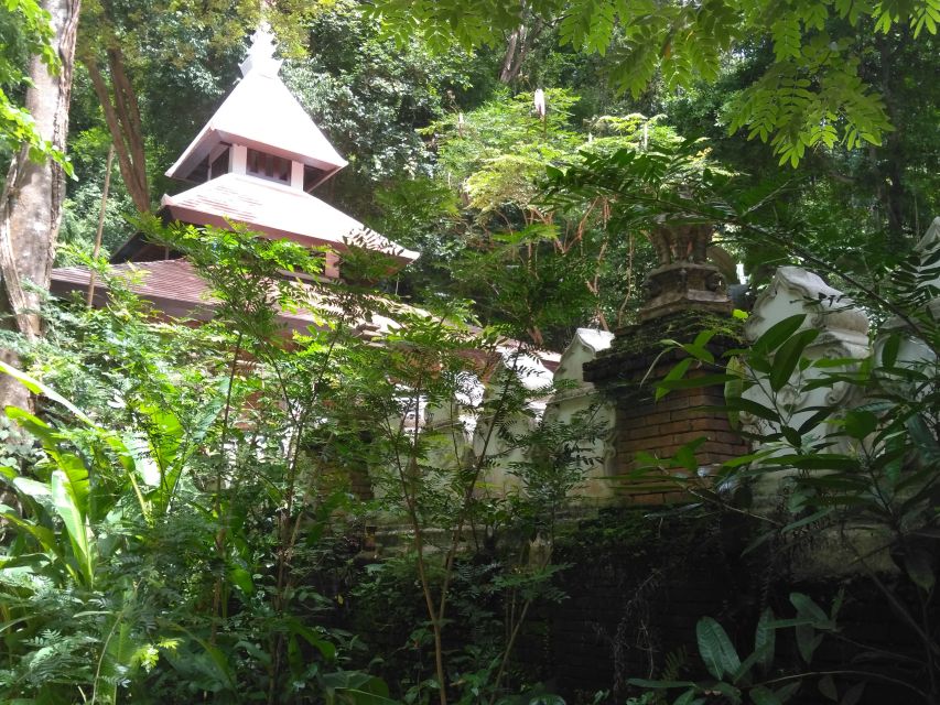 Chiang Mai: 7-Hour Doi Suthep National Park Summit Hiking - Hiking in Doi Suthep–Pui: steep jungle sections and real stamina