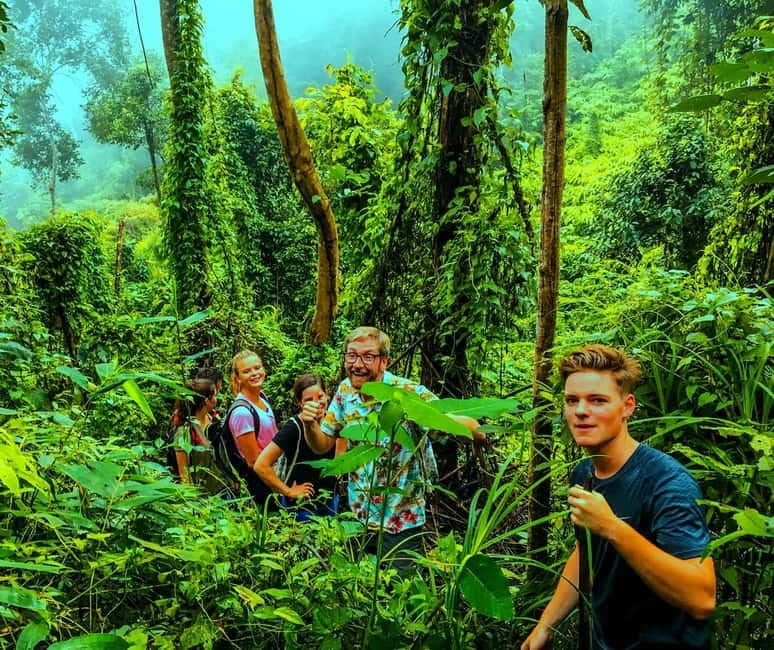 Chiang Mai: 7-Hour Doi Suthep National Park Summit Hiking - Near Doi Pui: walking toward the hill-tribe village vibe