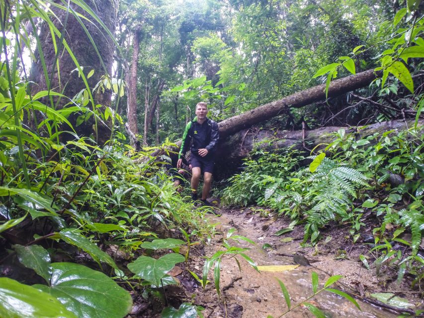 Chiang Mai: 7-Hour Doi Suthep National Park Summit Hiking - Guides, safety, and why the small group format matters