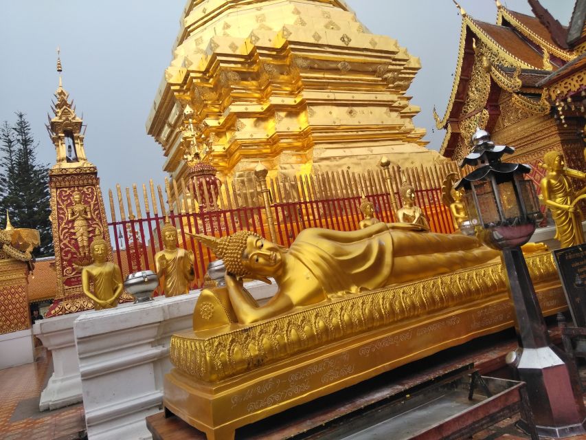 Chiang Mai: 7-Hour Doi Suthep National Park Summit Hiking - Price and value: what $60 covers and what costs extra