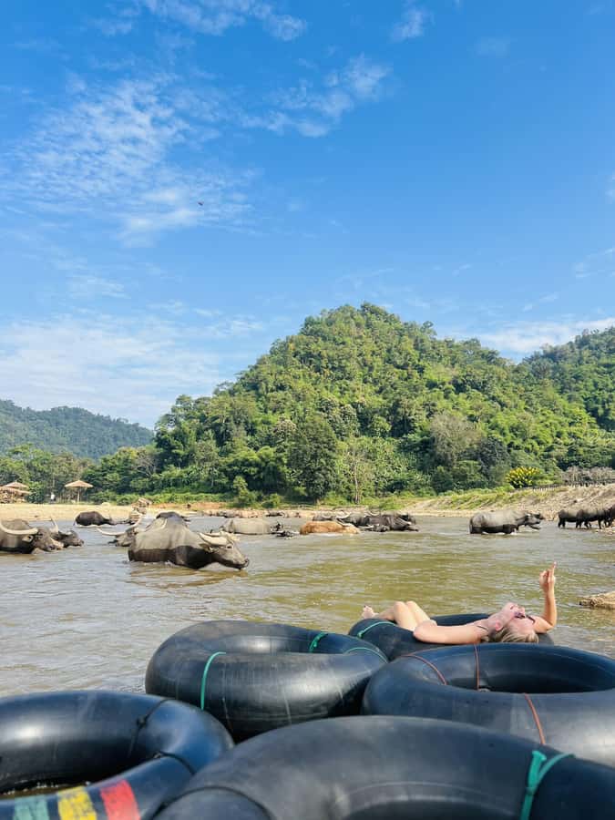 Chiang Mai Adventure: Trekking, Tubing & Waterfall Slide - Afternoon Choice: Saa Gee Falls Slide vs Elephant Observation Visit