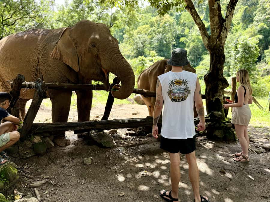 Chiang Mai Adventure: Trekking, Tubing & Waterfall Slide - Shower, Tea, and the End of the Day: You’ll Feel Cared For