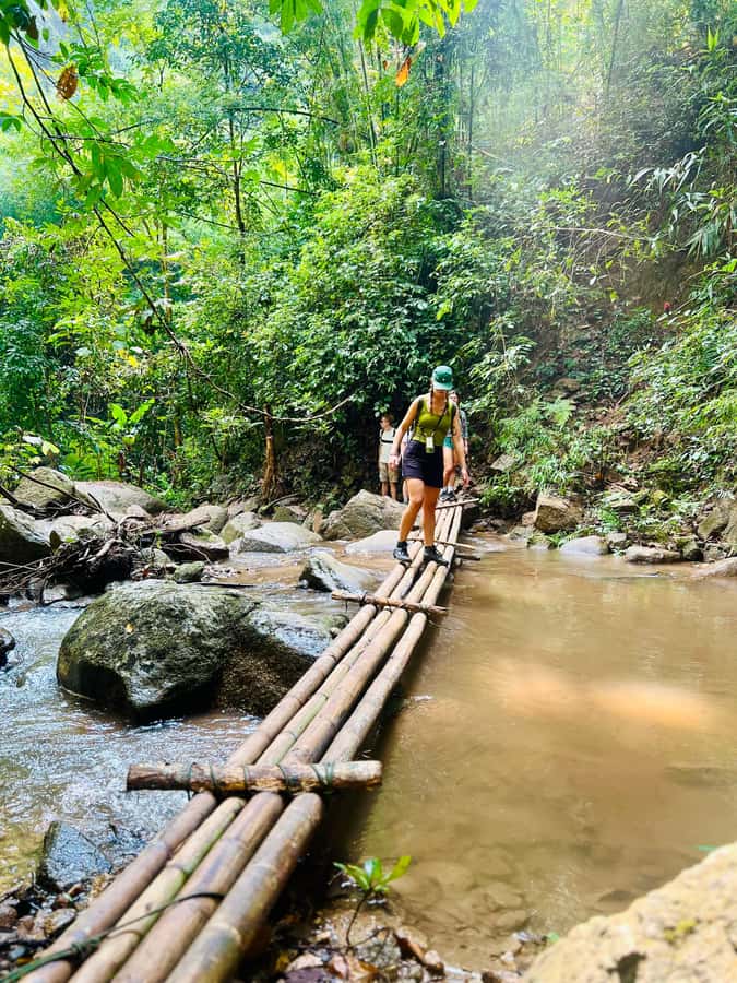 Chiang Mai Adventure: Trekking, Tubing & Waterfall Slide - Morning Drive and Base Camp Setup: Get Ready Without Stress