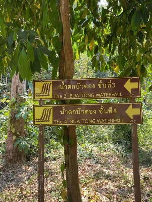 Chiang Mai: Afternoon Bua Tong Sticky Waterfall by Red Taxi - Timing and Duration: How to Use Your 2 Hours Well