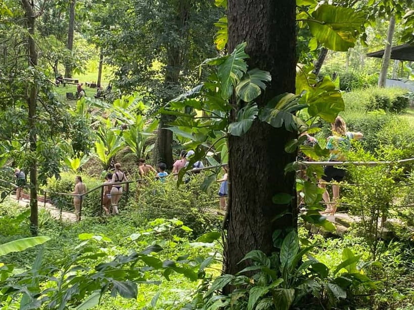 Chiang Mai: Afternoon Bua Tong Sticky Waterfall by Red Taxi - Who This Trip Suits Best (and Who Should Pass)