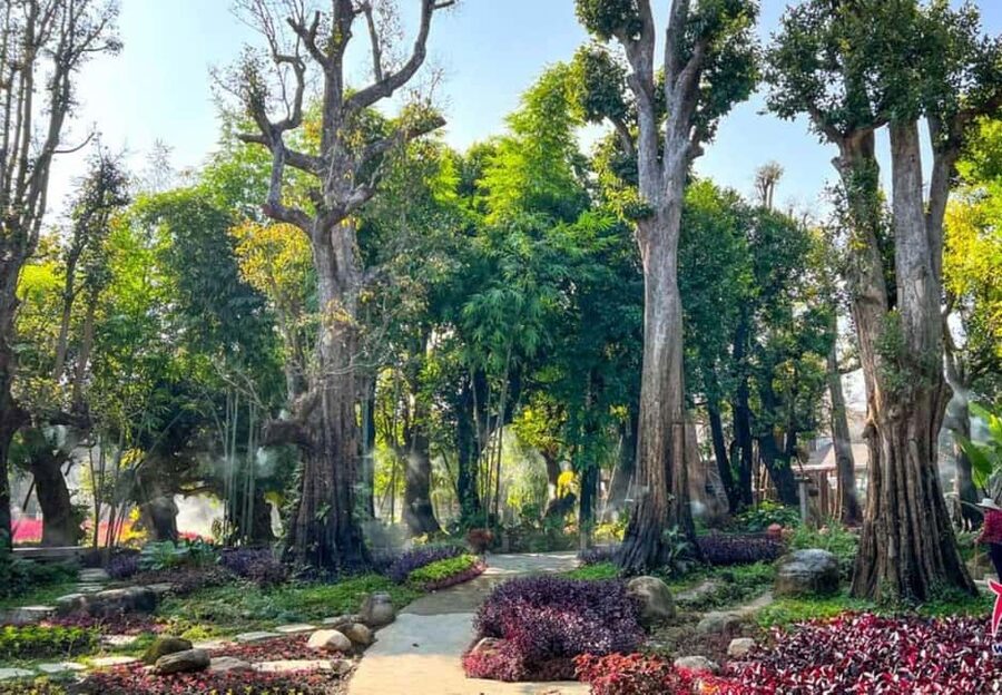 Chiang Mai: Angel Waterfall & Sticky Waterfall & Wat Ban Den - Transportation, timing, and the small-group advantage
