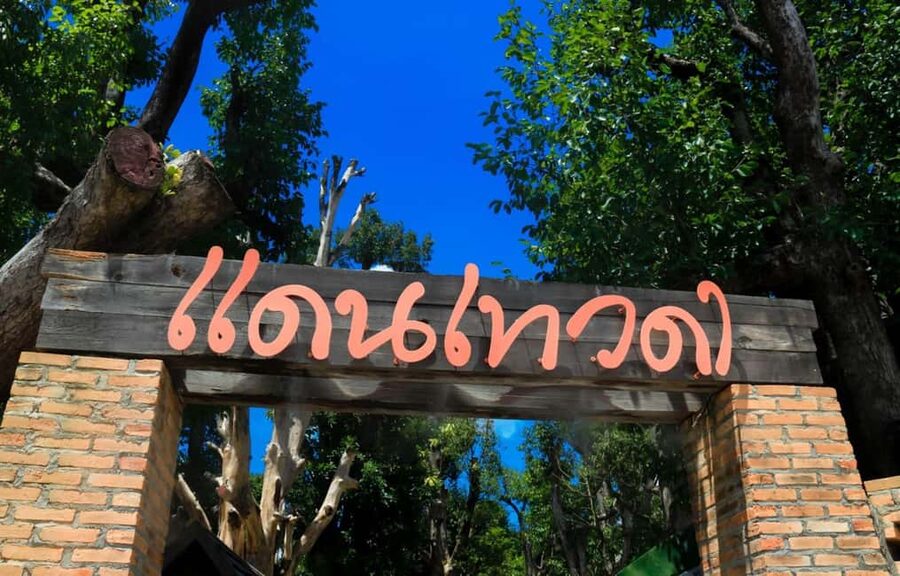 Chiang Mai: Angel Waterfall & Sticky Waterfall & Wat Ban Den - Who this trip suits best (and who might not)