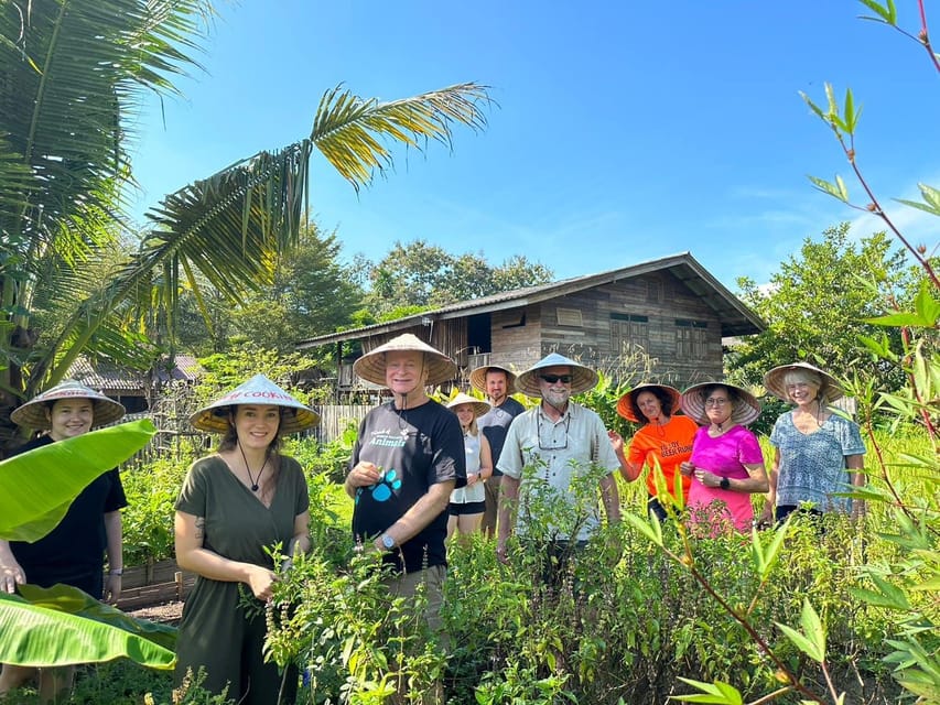 Chiang Mai: Asia Scenic Thai Cooking School - The organic farm/garden stop: why herbs matter in Thai cooking