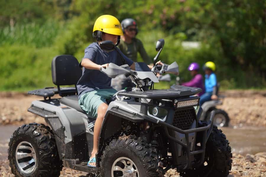 Chiang Mai: ATV Adventure 2-Hrs,Feeding,Rafting & Lunch Trip - Elephant feeding: what to consider before you buy